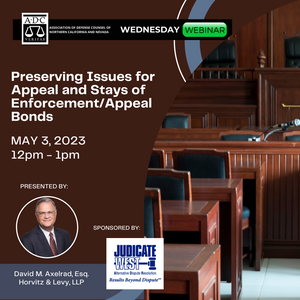 Preservation of Issues on Appeal and Stays of Enforcement Pending Appeal - 2023
