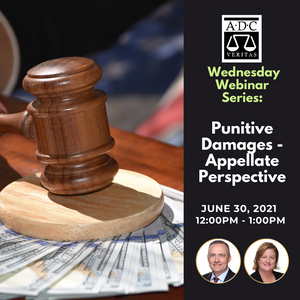 Punitive Damages - Appellate Perspective - 2021