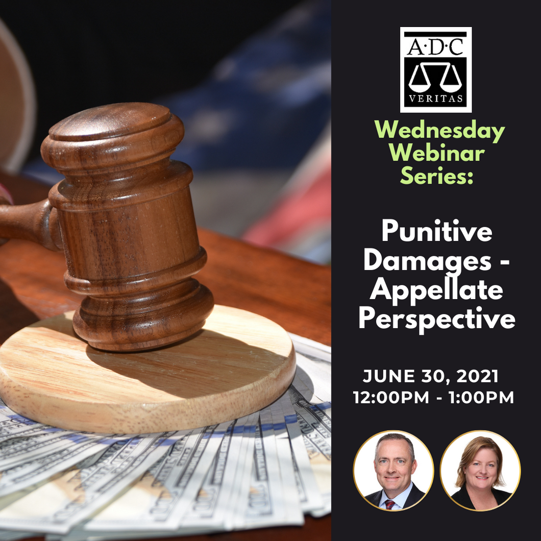 Punitive Damages - Appellate Perspective - 2021