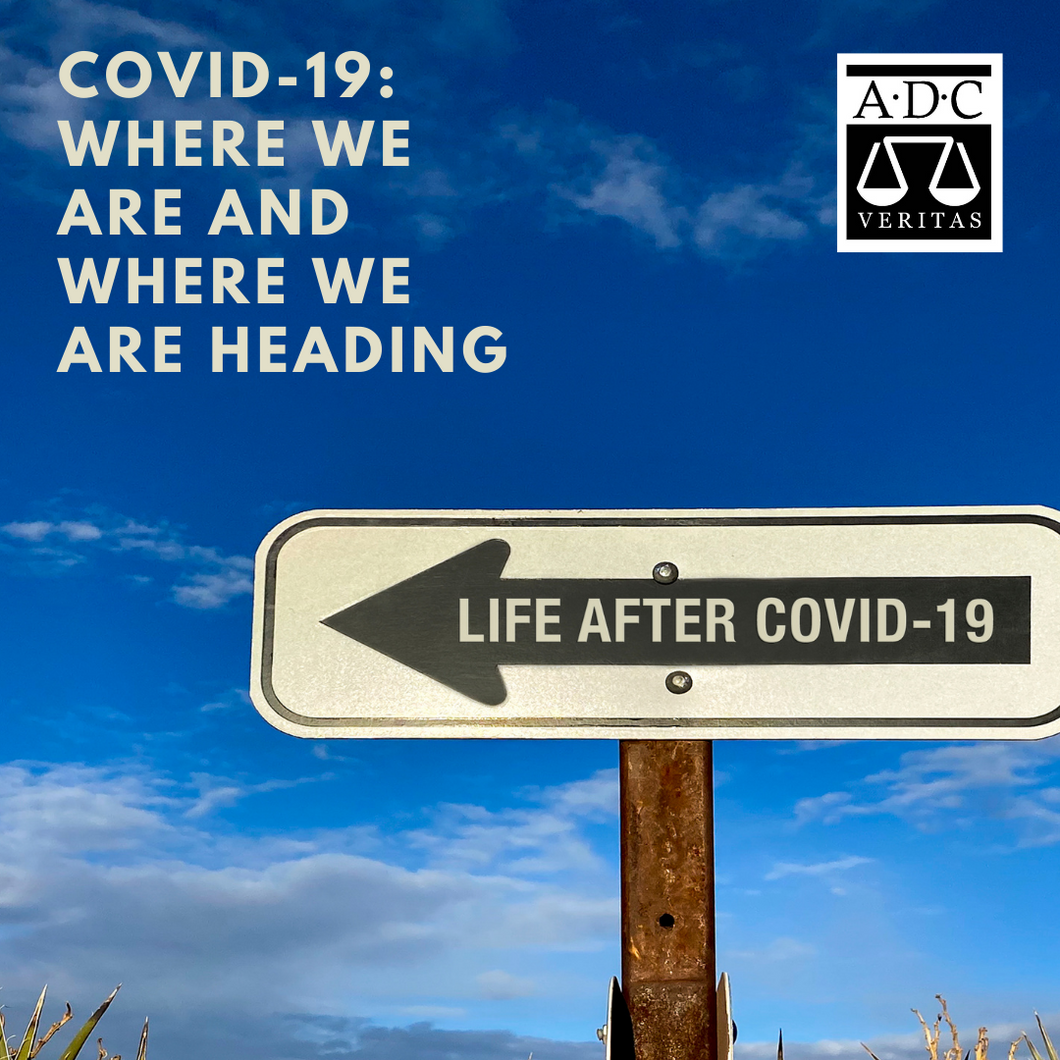 COVID-19: Where We Are and Where We Are Heading - 2020